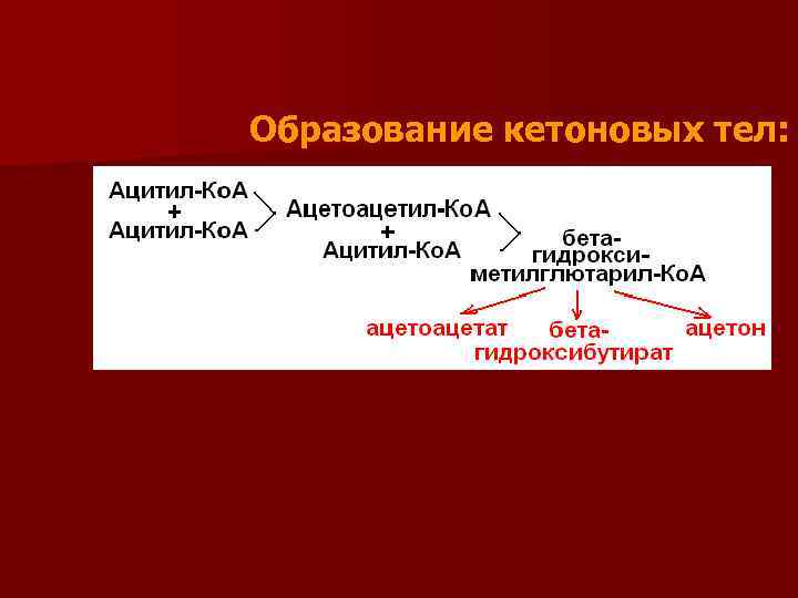 Образование кетоновых тел: 