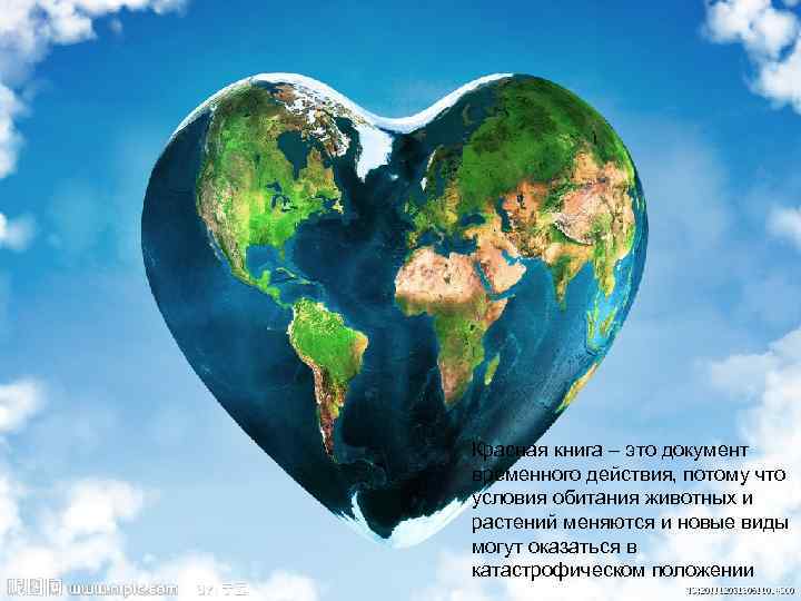 Красная книга – это документ временного действия, потому что условия обитания животных и растений