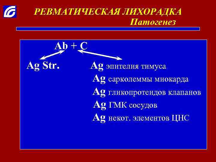 РЕВМАТИЧЕСКАЯ ЛИХОРАДКА Патогенез Ab + C Ag Str. Ag эпителия тимуса Ag сарколеммы миокарда