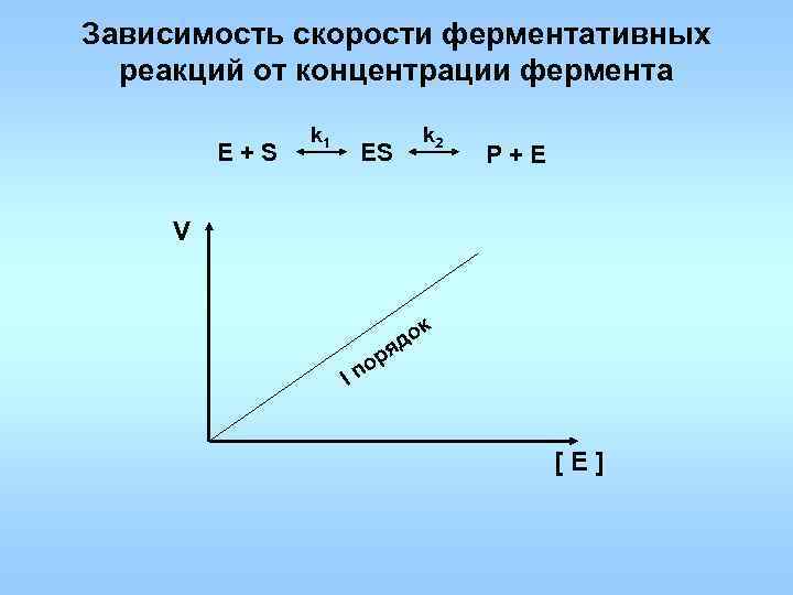 Зависимость скорости ферментативных реакций от концентрации фермента k 1 k 2 Е+S ES P+E