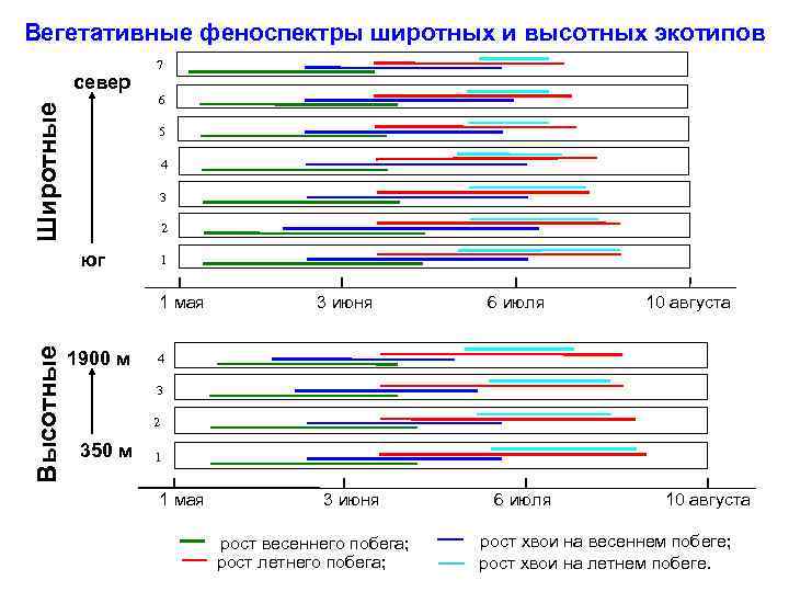 Вегетативные феноспектры широтных и высотных экотипов Широтные север 7 6 5 4 3 2