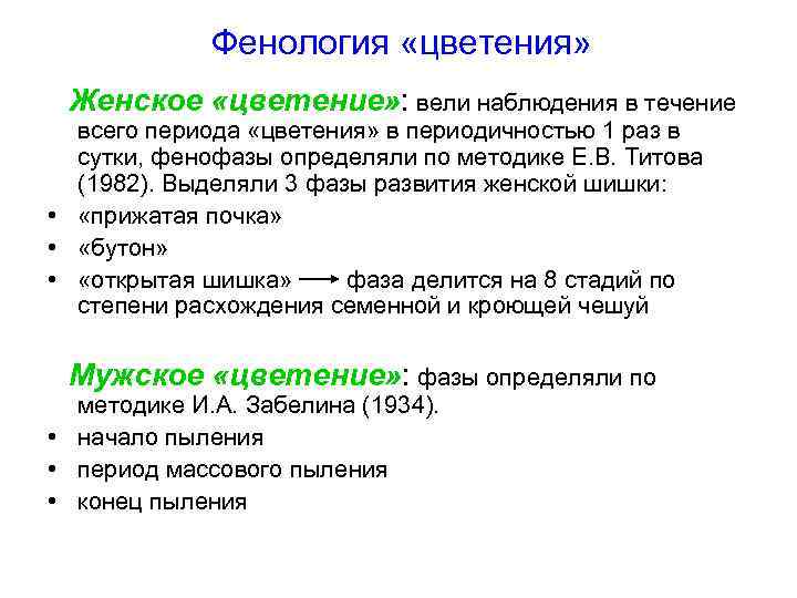 Фенология «цветения» Женское «цветение» : вели наблюдения в течение всего периода «цветения» в периодичностью