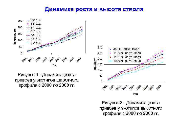 Модели динамики роста. Динамика роста дерева. Динамический рост. Динамика роста тополя график. Воробьи динамика роста.