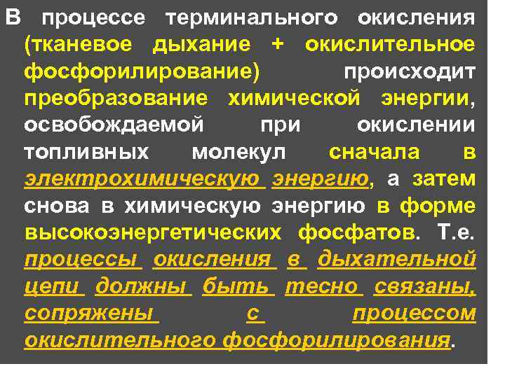 В процессе терминального окисления (тканевое дыхание + окислительное фосфорилирование) происходит преобразование химической энергии, освобождаемой