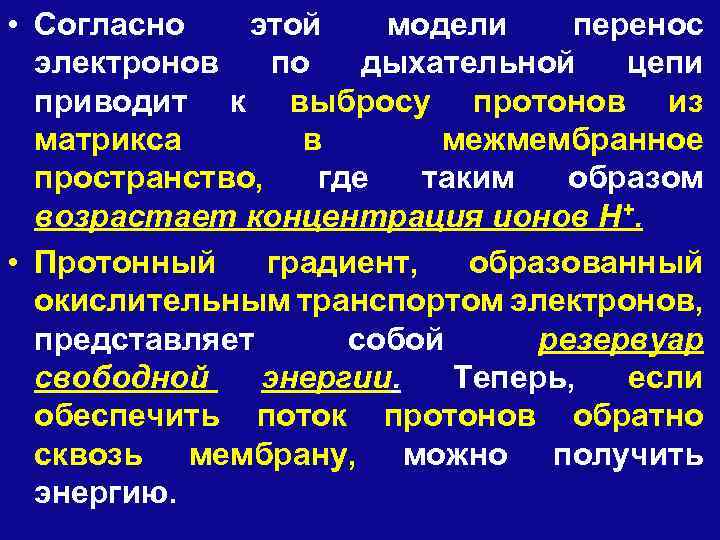  • Согласно этой модели перенос электронов по дыхательной цепи приводит к выбросу протонов