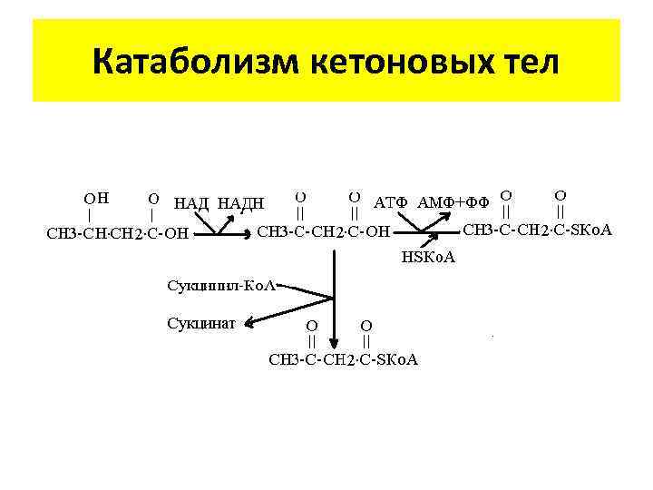 Схема образования кетоновых тел