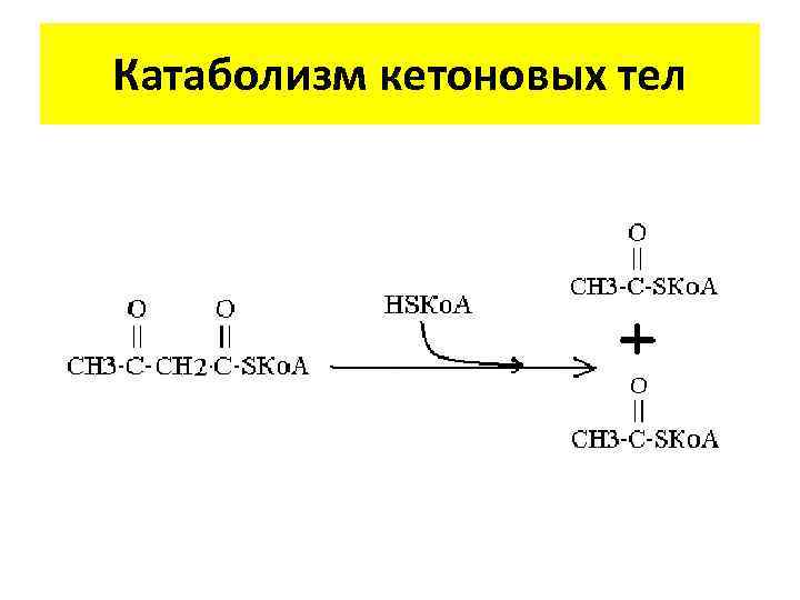 Схема образования кетоновых тел