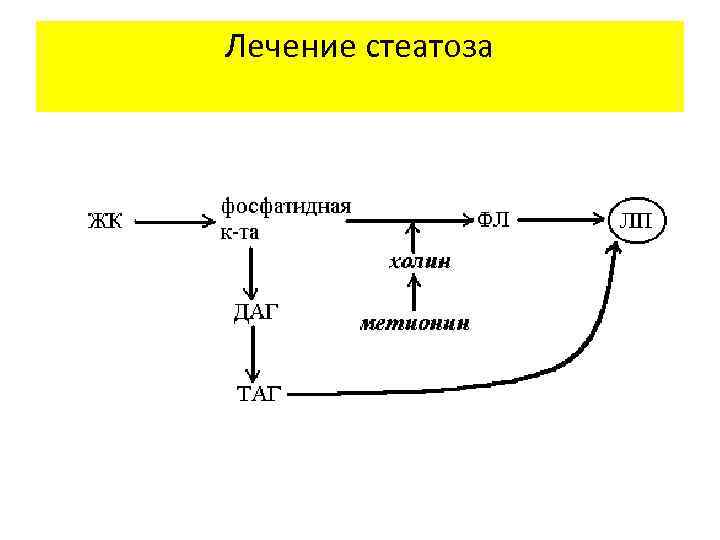 Лечение стеатоза 