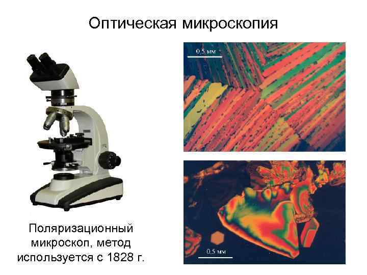 Оптическая микроскопия фото