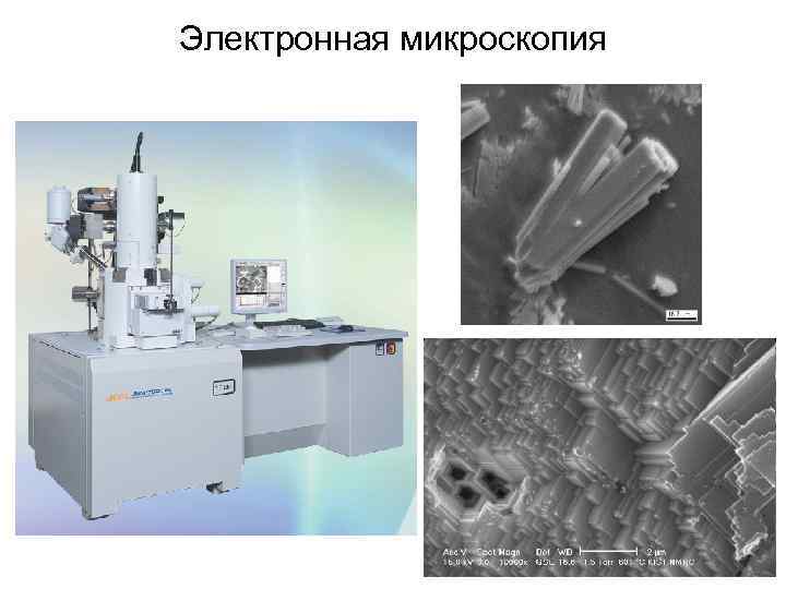 Электронная микроскопия 