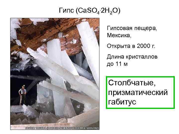 Гипс (Ca. SO 4. 2 H 2 O) Гипсовая пещера, Мексика, Открыта в 2000