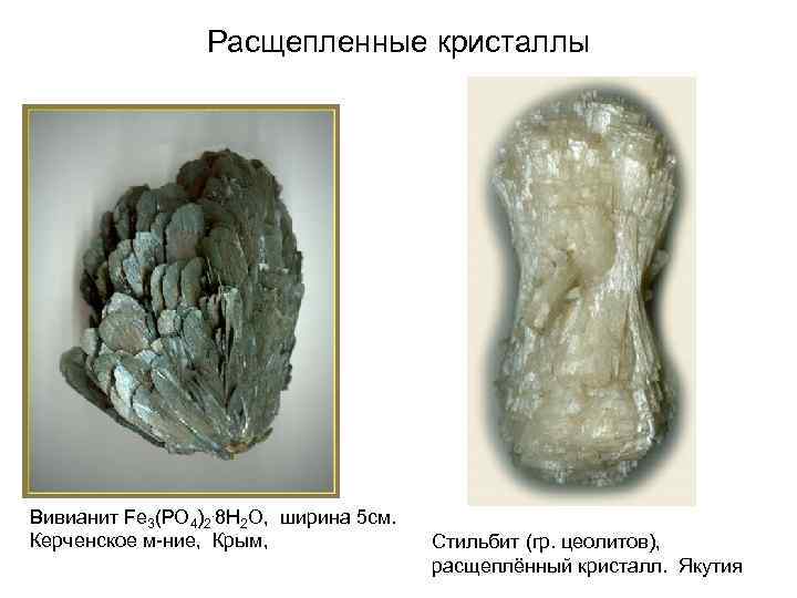 Расщепленные кристаллы Вивианит Fe 3(PO 4)2. 8 H 2 O, ширина 5 см. Керченское