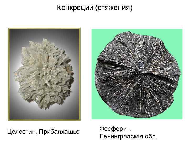 Конкреции (стяжения) Целестин, Прибалхашье Фосфорит, Ленинградская обл. 