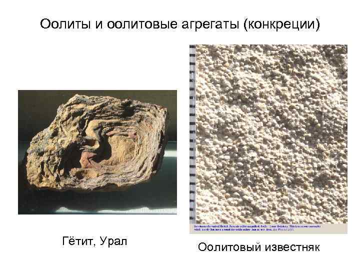 Оолиты и оолитовые агрегаты (конкреции) Гётит, Урал Оолитовый известняк 