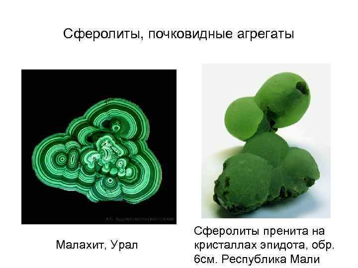 Сферолиты, почковидные агрегаты Малахит, Урал Сферолиты пренита на кристаллах эпидота, обр. 6 см. Республика