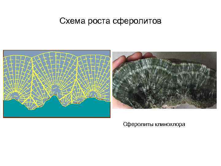 Схема роста сферолитов Сферолиты клинохлора 