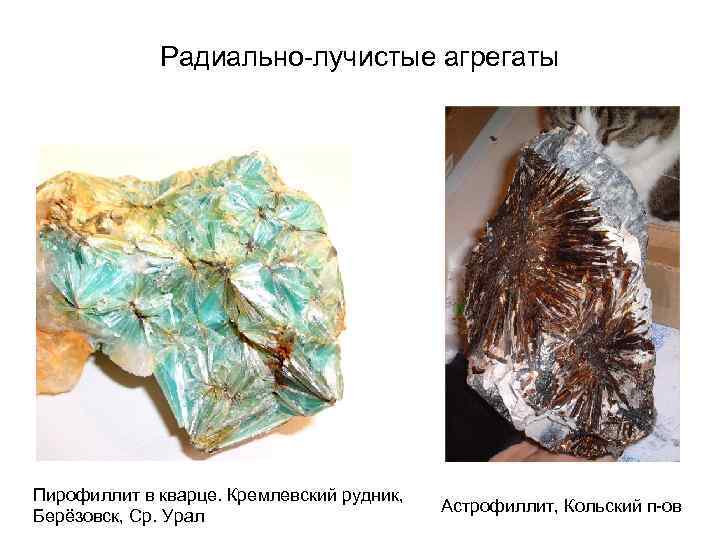 Радиально-лучистые агрегаты Пирофиллит в кварце. Кремлевский рудник, Берёзовск, Ср. Урал Астрофиллит, Кольский п-ов 