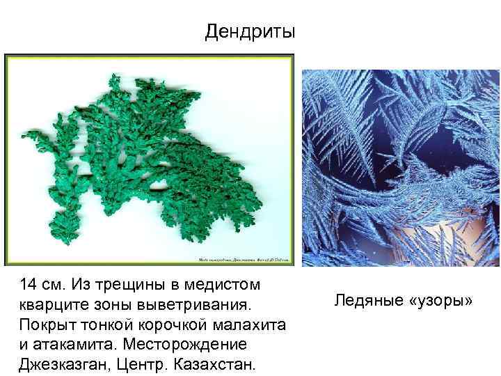 Дендриты 14 см. Из трещины в медистом кварците зоны выветривания. Покрыт тонкой корочкой малахита