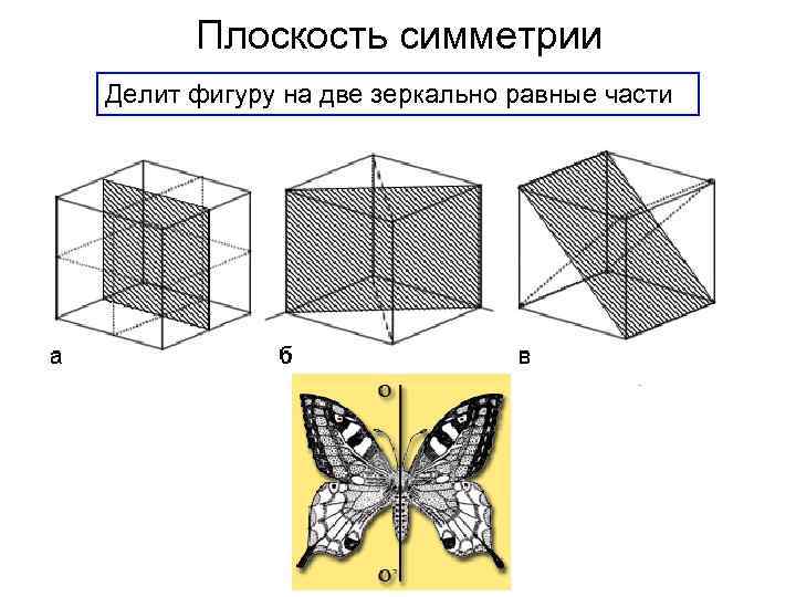 Плоскость симметрии на чертеже