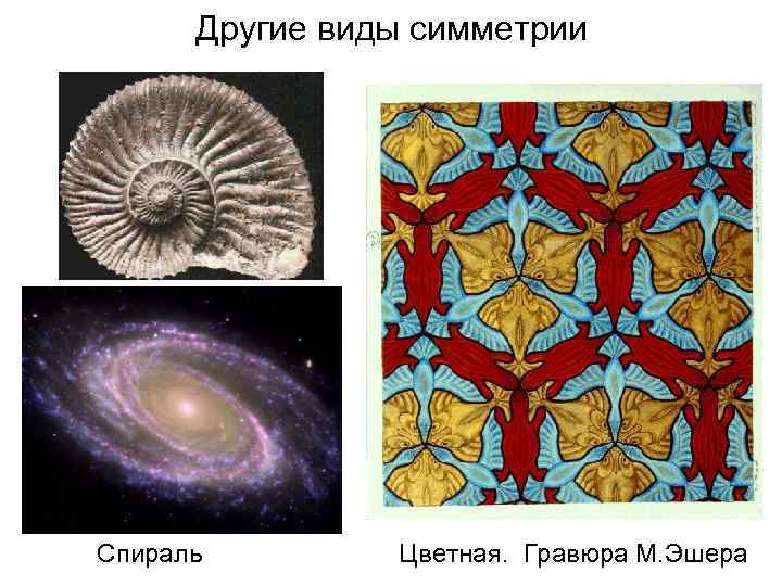 Другие виды симметрии Спираль Цветная. Гравюра М. Эшера 