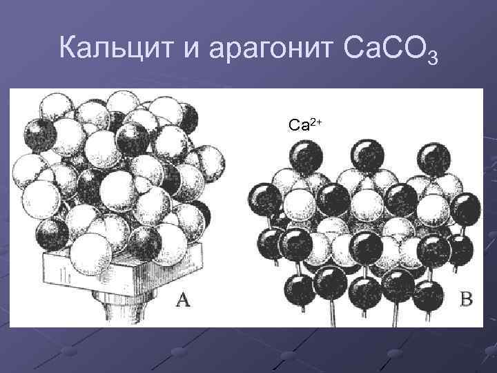 Кальцит и арагонит Ca. CO 3 Ca 2+ 