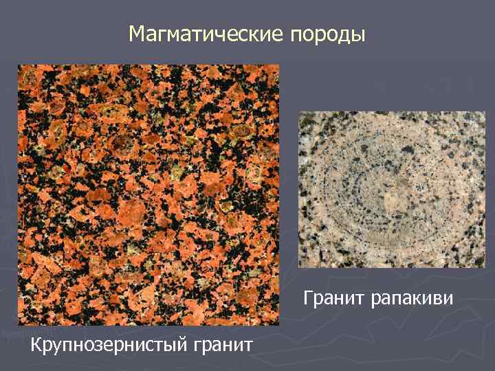 Магматические породы Гранит рапакиви Крупнозернистый гранит 