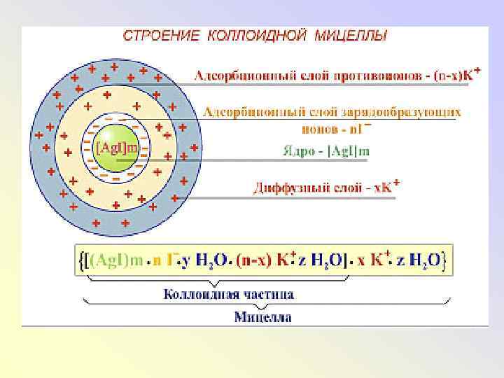 Схема строения коллоидной мицеллы