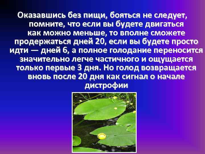 Оказавшись без пищи, бояться не следует, помните, что если вы будете двигаться как можно