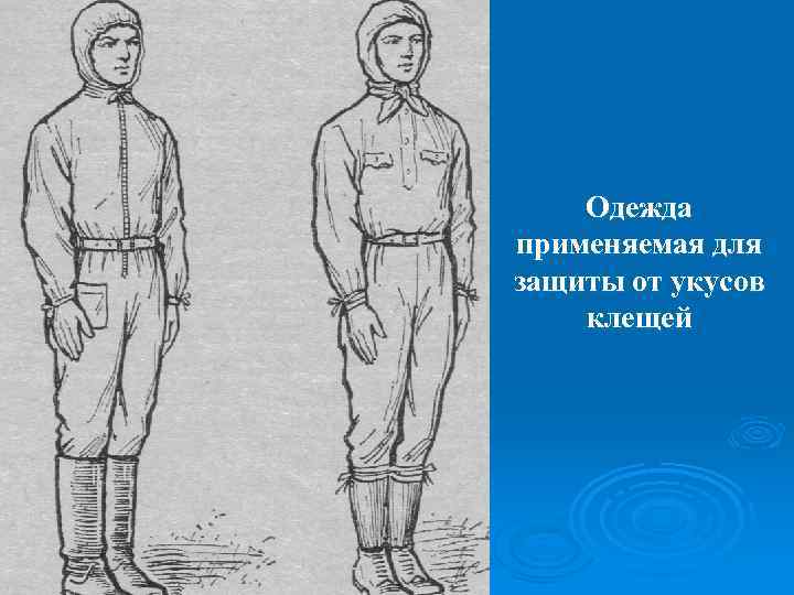 Одежда применяемая для защиты от укусов клещей 