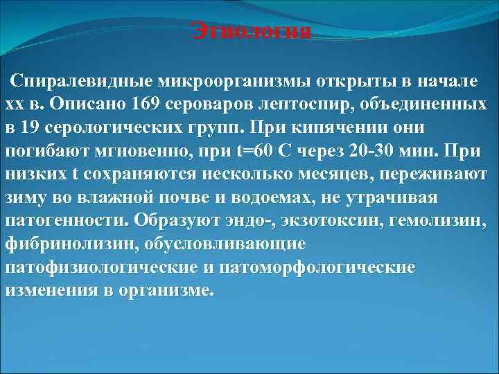 Этиология Спиралевидные микроорганизмы открыты в начале хх в. Описано 169 сероваров лептоспир, объединенных в