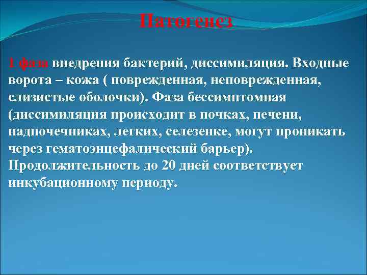 Патогенез 1 фаза внедрения бактерий, диссимиляция. Входные ворота – кожа ( поврежденная, неповрежденная, слизистые
