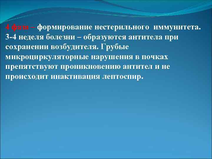4 фаза – формирование нестерильного иммунитета. 3 -4 неделя болезни – образуются антитела при