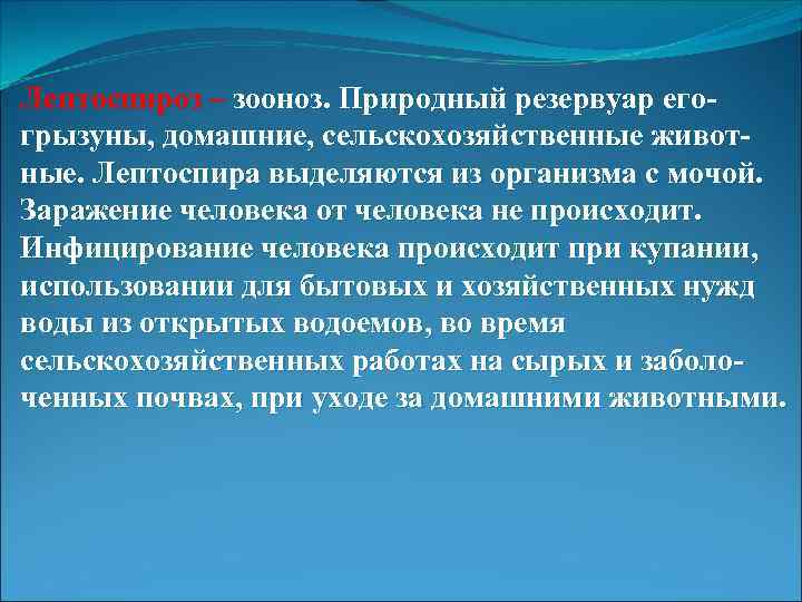 Лептоспироз – зооноз. Природный резервуар егогрызуны, домашние, сельскохозяйственные животные. Лептоспира выделяются из организма с