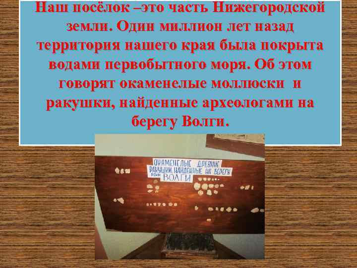 Наш посёлок –это часть Нижегородской земли. Один миллион лет назад территория нашего края была