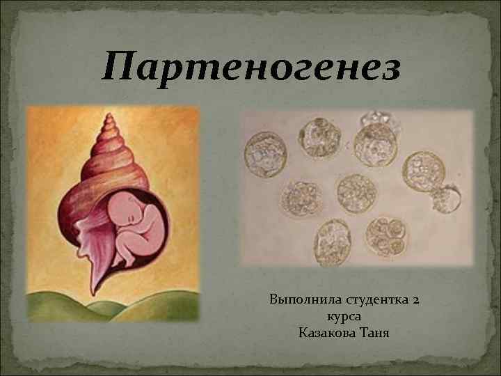Партеногенез Выполнила студентка 2 курса Казакова Таня 