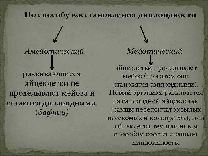 Гаплоидный набор это. Восстановление диплоидности. Гаплоидные организмы. Схема гаплоидного и диплоидного партеногенеза. Гаплоидность и диплоидность.