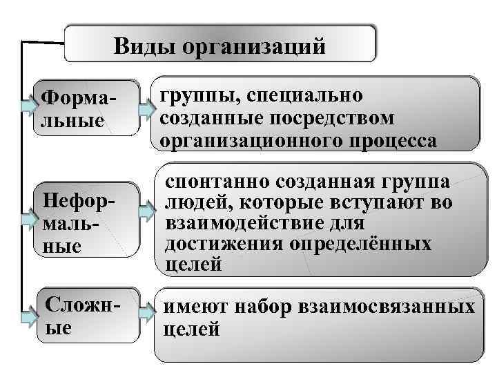 Организовать какой вид