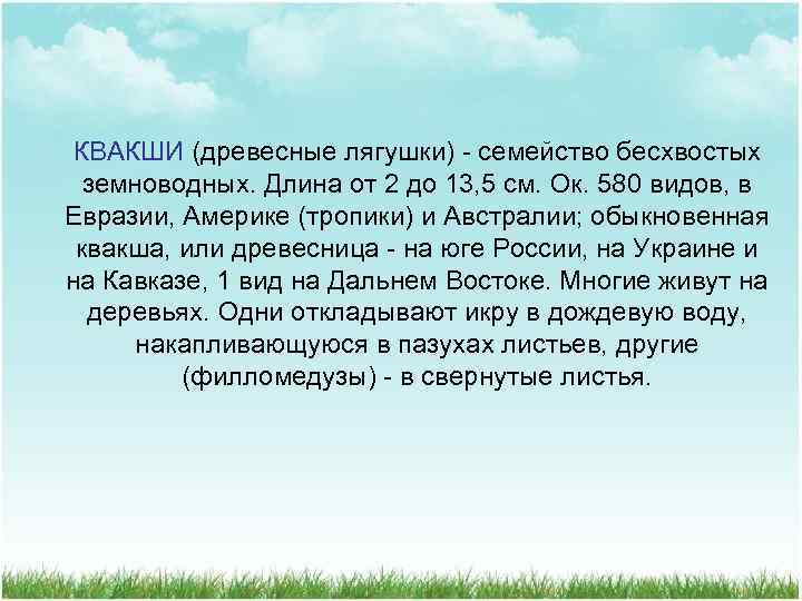 КВАКШИ (древесные лягушки) - семейство бесхвостых земноводных. Длина от 2 до 13, 5 см.