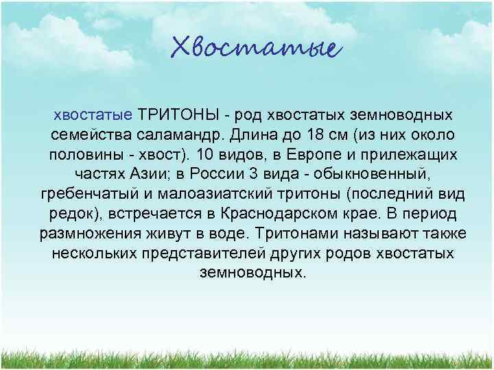 Хвостатые хвостатые ТРИТОНЫ - род хвостатых земноводных семейства саламандр. Длина до 18 см (из