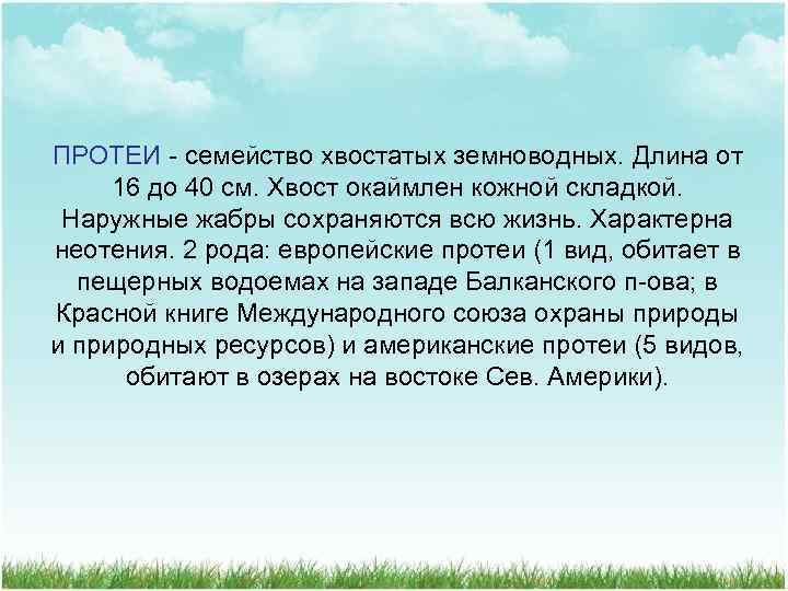 ПРОТЕИ - семейство хвостатых земноводных. Длина от 16 до 40 см. Хвост окаймлен кожной