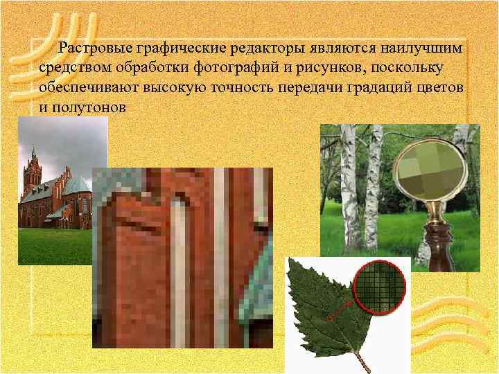 Растровые графические редакторы являются наилучшим средством обработки фотографий и рисунков, поскольку обеспечивают высокую точность