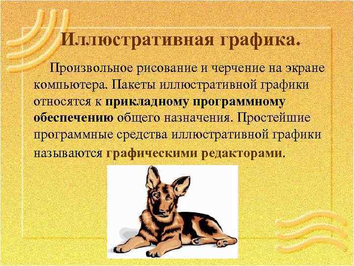 Иллюстративная графика. Произвольное рисование и черчение на экране компьютера. Пакеты иллюстративной графики относятся к