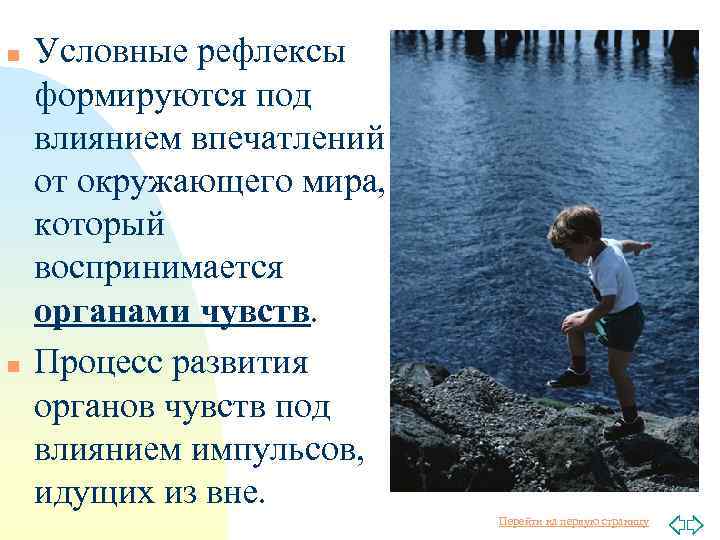 n n Условные рефлексы формируются под влиянием впечатлений от окружающего мира, который воспринимается органами