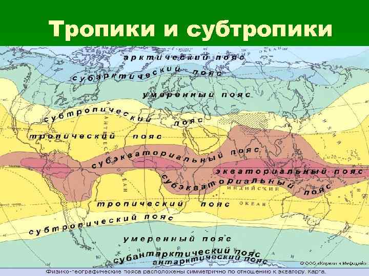 Картинки субтропического пояса