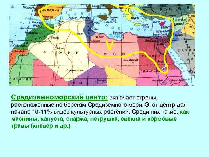 Средиземноморский центр: включает страны, расположенные по берегам Средиземного моря. Этот центр дал начало 10