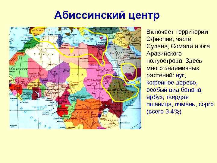 Абиссинский центр Включает территории Эфиопии, части Судана, Сомали и юга Аравийского полуострова. Здесь много