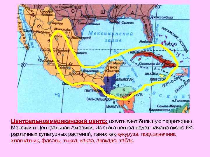 Центральноамериканский центр: охватывает большую территорию Мексики и Центральной Америки. Из этого центра ведет начало