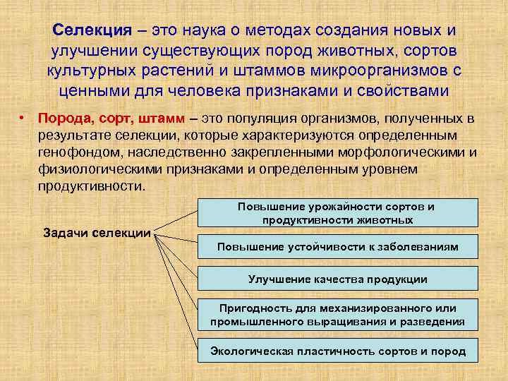 Селекция – это наука о методах создания новых и улучшении существующих пород животных, сортов
