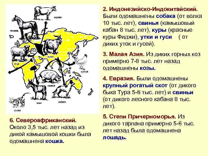 2. Индонезийско-Индокитайский. Были одомашнены собака (от волка 10 тыс. лет), свинья (камышовый кабан 8