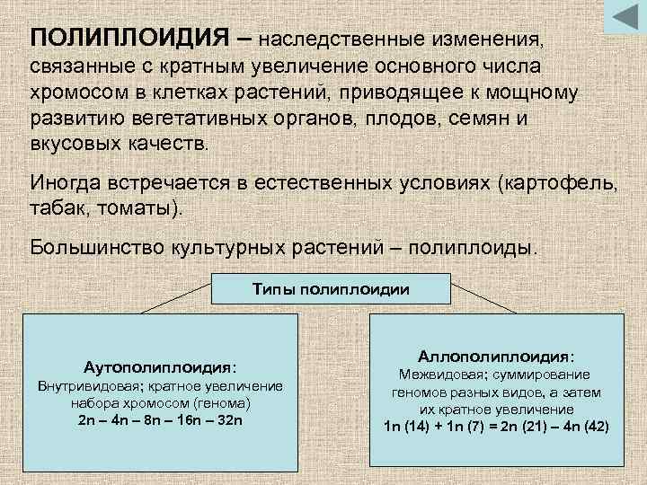 ПОЛИПЛОИДИЯ – наследственные изменения, связанные с кратным увеличение основного числа хромосом в клетках растений,